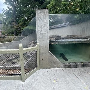 North American River Otter Exhibit