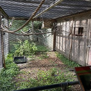 Laughing Kookaburra Exhibit