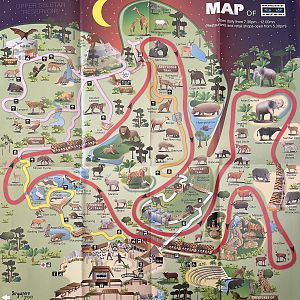 Zoo Map - 2013