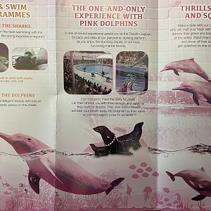 Pink Dolphin Advertisement - 2013