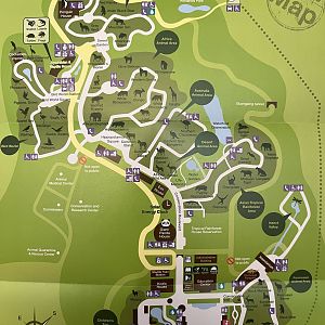 Zoo Map - 2015