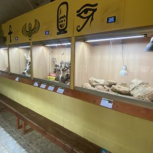IOW Reptilarium - Desert Zone 150923