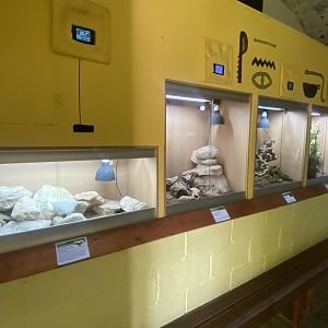 IOW Reptilarium - Desert Zone 150923