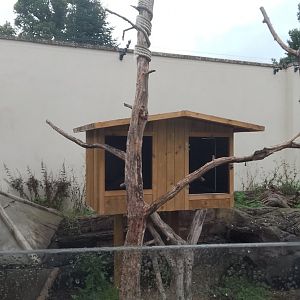 Another breeding box