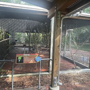 Budgerigar Aviary