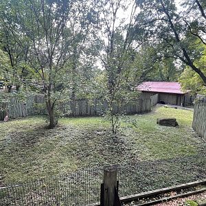 Cassowary Exhibit #1