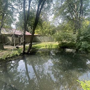 Cassowary Exhibit #2
