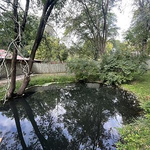 Cassowary Exhibit #2