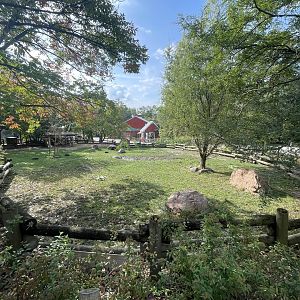 Aldabra Tortoise Exhibit