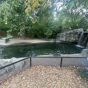 Magellanic Penguin Exhibit