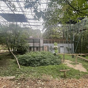 Gibbon and Vulture Exhibit