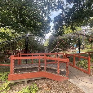Japanese Macaque Exhibit