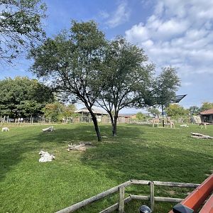 African Savanna Exhibit
