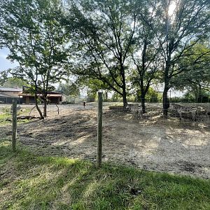 Hartmann’s Mountain Zebra Exhibit