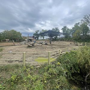 Black Rhinoceros Exhibit