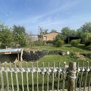 Kori Bustard Exhibit