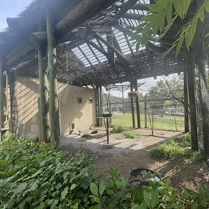 Aviary