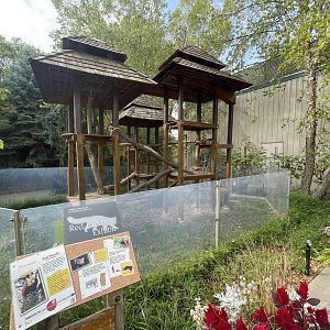 Red Panda Outdoor Exhibit