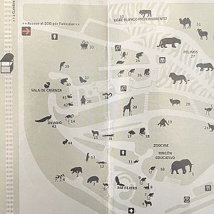 Zoo Map - undated