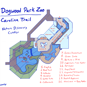 Dogwood Park Zoo: Carolina Trail 'Nature Discovery Center' Concept