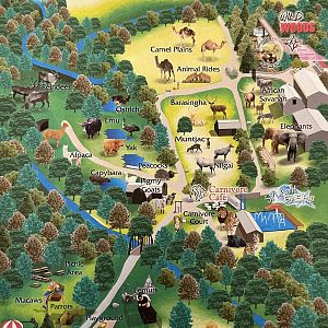 Zoo Map - 2011