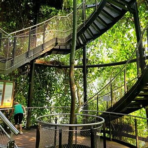 Staircase to the top viewing platform