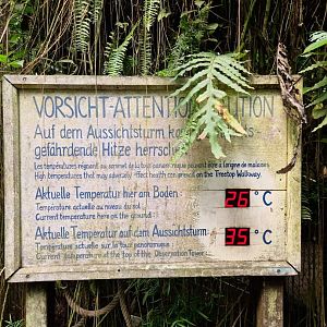 Temperature Difference between bottom and top