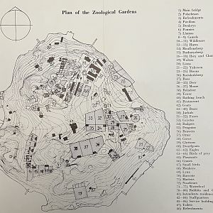 Zoo Map - 1960