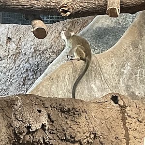 9/17/2023 - Curiosity