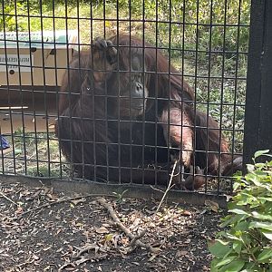 9/17/2023 - Alex Cleaning House