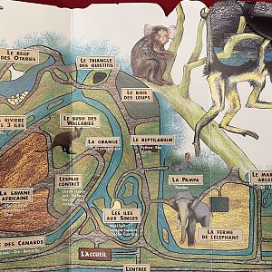 Zoo Map - 1999