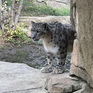 9/17/2023 - Prowling