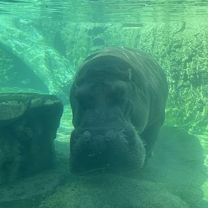 9/17/2023 - Happy Days