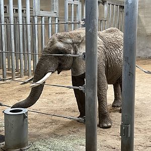 9/17/2023 - Brittany