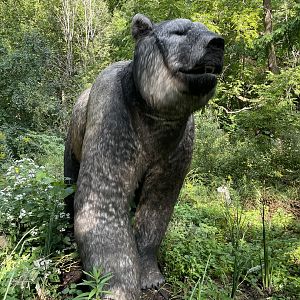 9/17/2023 - Short-Faced Bear
