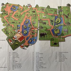 Zoo Map - undated