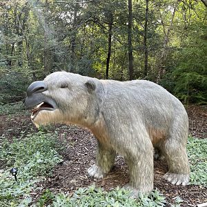 9/17/2023 - Diprotodon