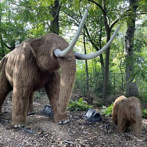 9/17/2023 - Mastodons