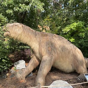 9/17/2023 - Megatherium