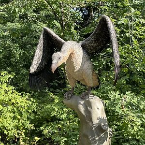 9/17/2023 - Teratornis