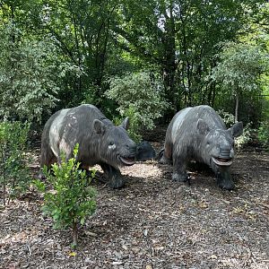 9/17/2023 - Toxodons