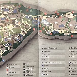 Zoo Map - 2017