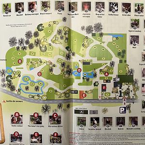 Zoo Map - 2011