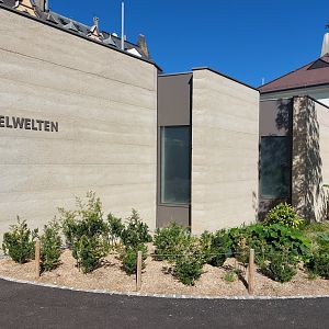 Bird house - new extension