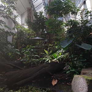 Bird house - main hall