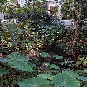 Bird house - main hall