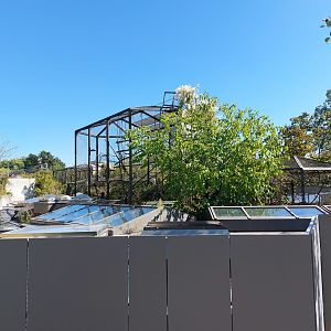 Rooftop cages for S-American monkeys