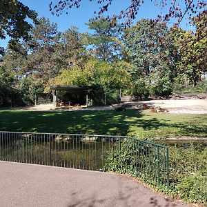 Somali wild ass enclosure