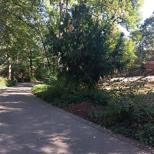 Pathway in lower part of zoo