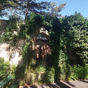 Former owl ruins, now kea